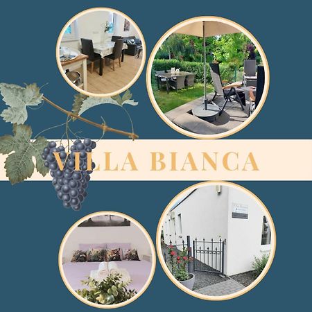 Villa Bianca - Holiday & Business Elsenfeld Екстериор снимка