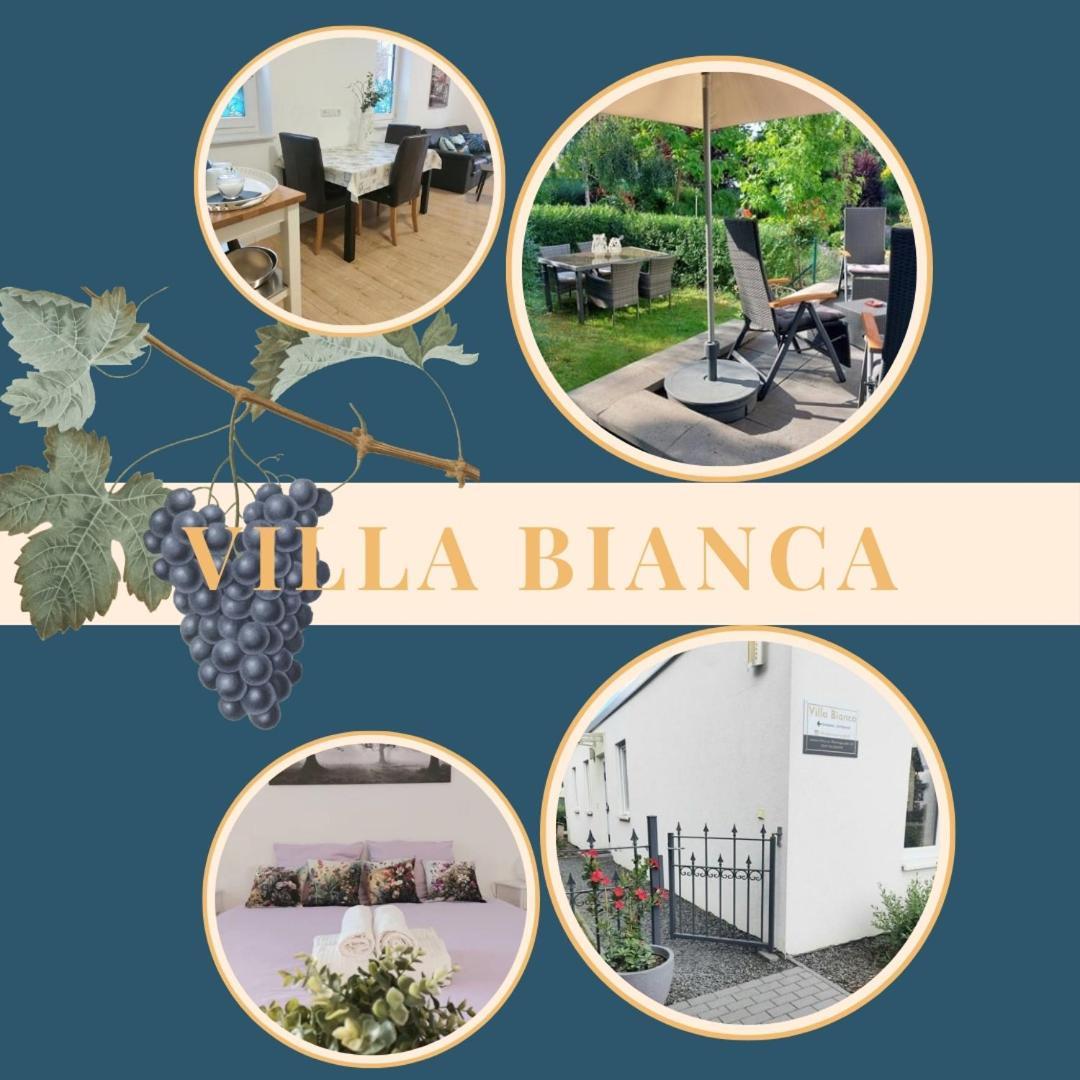 Villa Bianca - Holiday & Business Elsenfeld Екстериор снимка